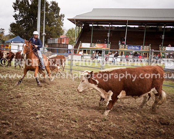 Singleton Show 15 -94