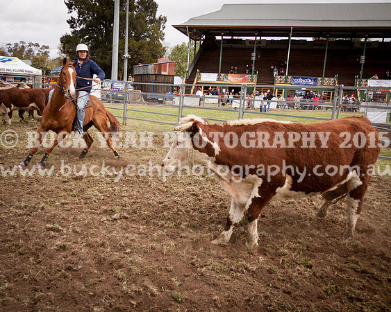 Singleton Show 15 -95