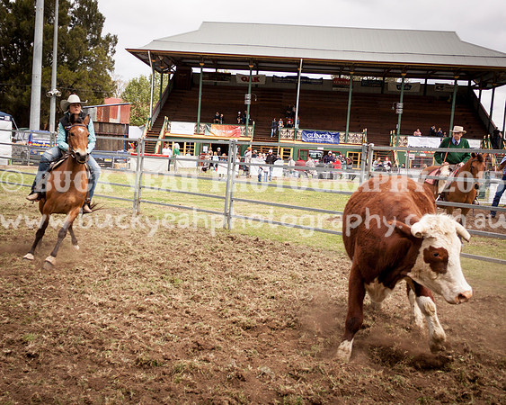 Singleton Show 15 -96