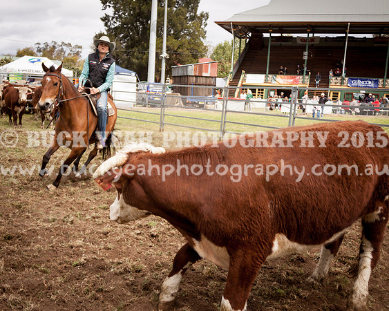 Singleton Show 15 -97