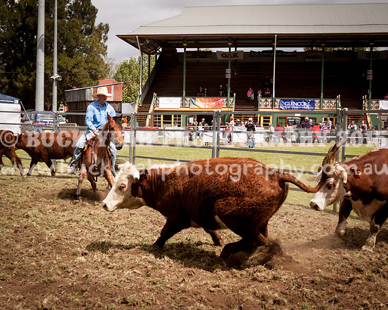 Singleton Show 15 -98