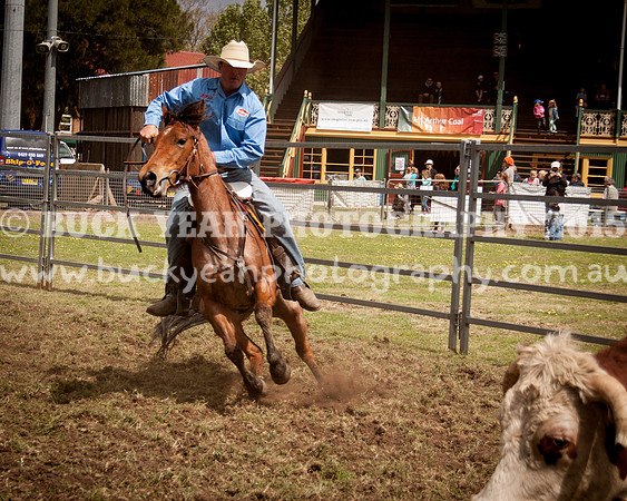 Singleton Show 15 -99