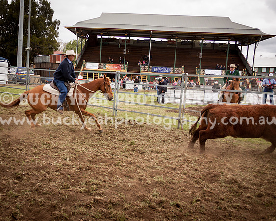 Singleton Show 15 -100