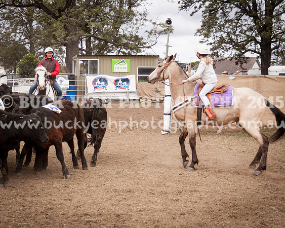 Singleton Show 15 -103