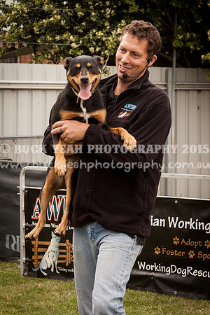 Singleton Show 15 -108