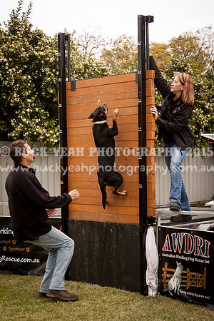 Singleton Show 15 -110