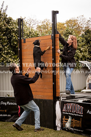 Singleton Show 15 -111