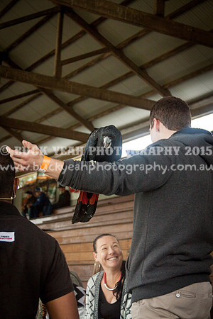 Singleton Show 15 -114