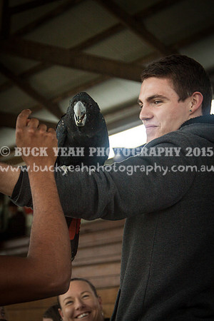 Singleton Show 15 -115