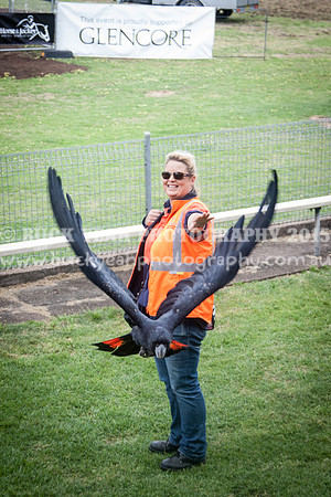 Singleton Show 15 -122