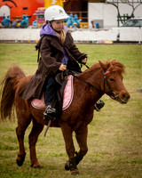 Singleton Show 15 -129