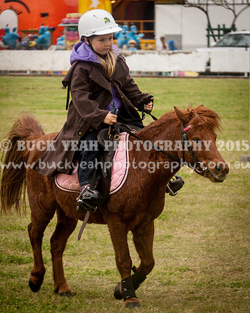 Singleton Show 15 -129