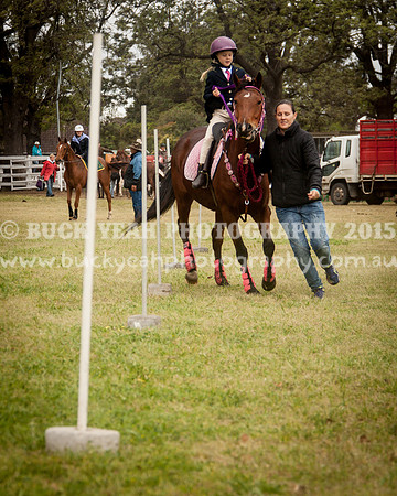 Singleton Show 15 -130