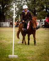 Singleton Show 15 -131