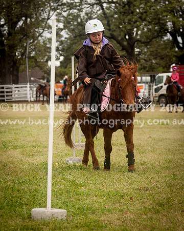 Singleton Show 15 -131