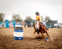 Singleton Show 15 -133