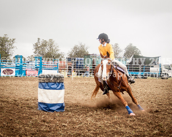 Singleton Show 15 -133