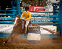 Singleton Show 15 -134