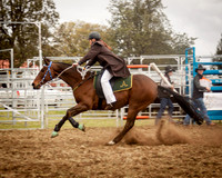 Singleton Show 15 -135