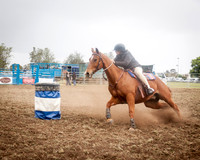 Singleton Show 15 -136