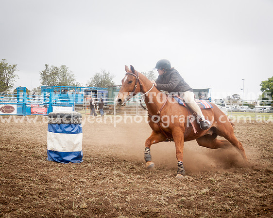 Singleton Show 15 -136