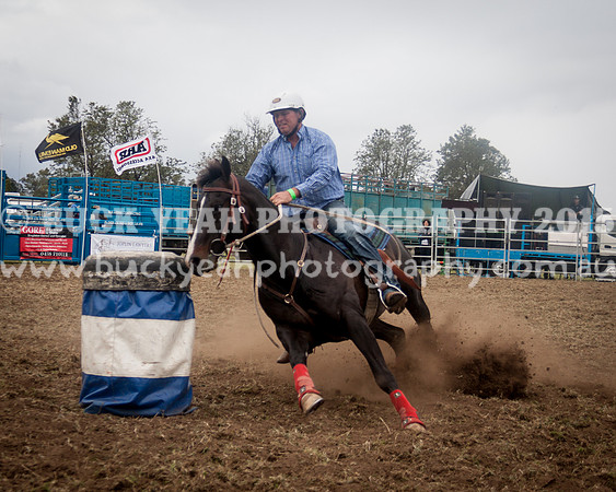 Singleton Show 15 -142