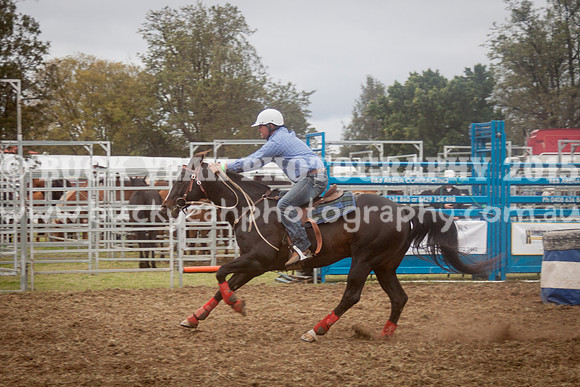 Singleton Show 15 -144