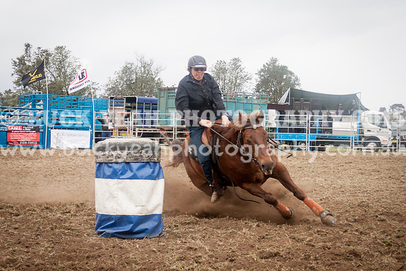 Singleton Show 15 -145