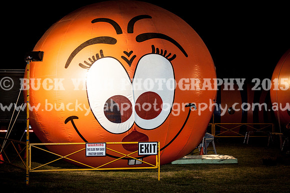 Singleton Show 15 -263