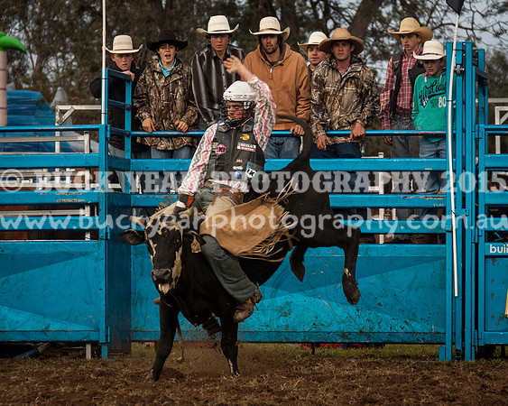 Singleton Show 15 -274