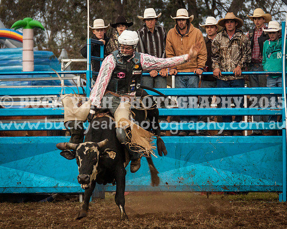Singleton Show 15 -275