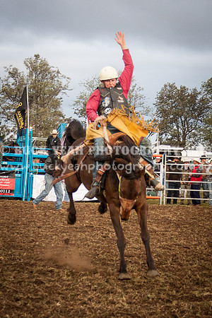 Singleton Show 15 -281