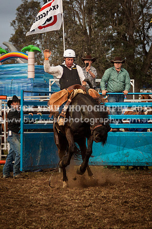Singleton Show 15 -283