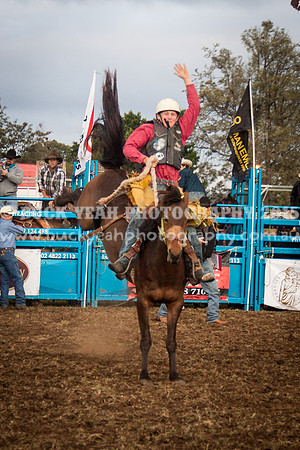Singleton Show 15 -279