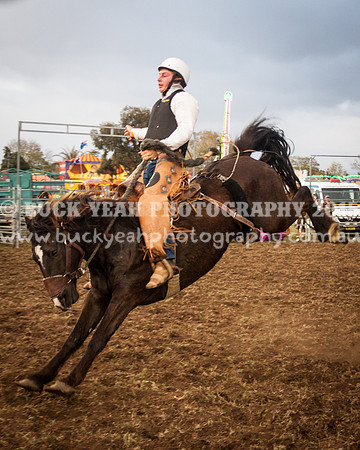 Singleton Show 15 -285