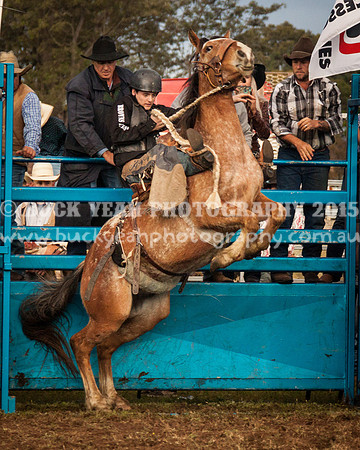 Singleton Show 15 -286