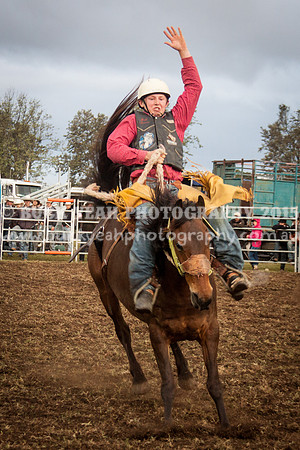 Singleton Show 15 -282