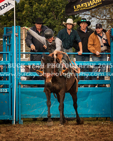 Singleton Show 15 -287