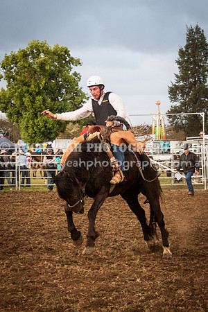 Singleton Show 15 -284