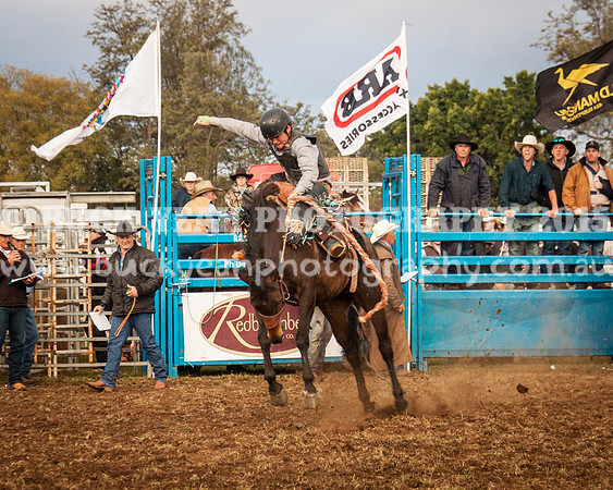 Singleton Show 15 -288