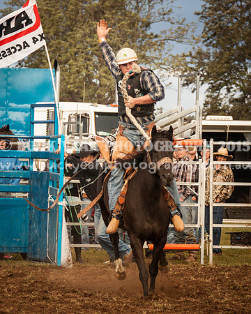 Singleton Show 15 -290
