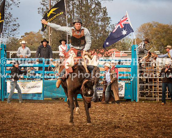 Singleton Show 15 -292