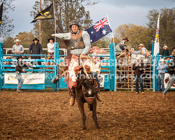 Singleton Show 15 -293