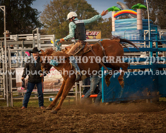 Singleton Show 15 -294