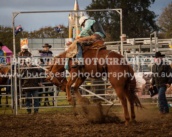 Singleton Show 15 -295