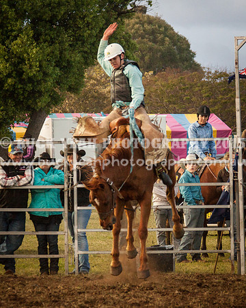 Singleton Show 15 -296
