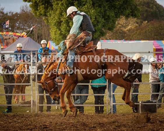 Singleton Show 15 -297