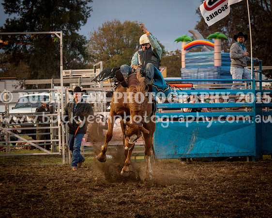 Singleton Show 15 -304