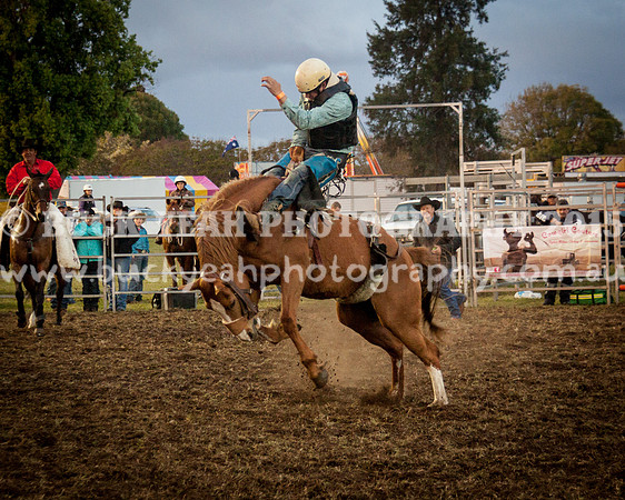 Singleton Show 15 -305