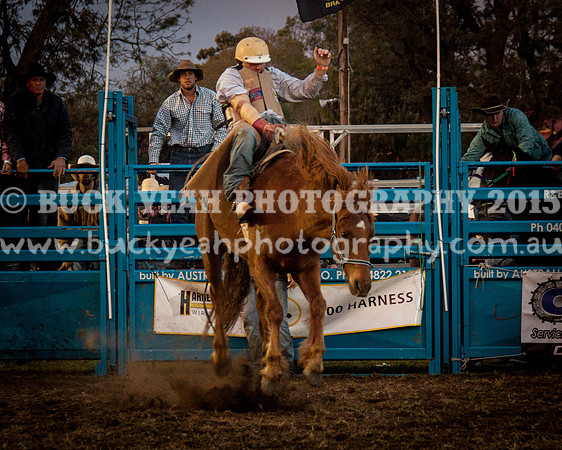 Singleton Show 15 -306
